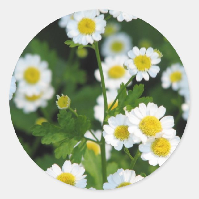 Sticker Rond Personnaliser (Devant)