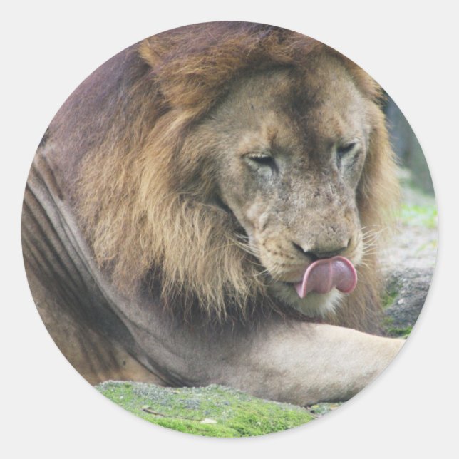 Sticker Rond Personnaliser (Devant)