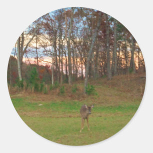 Sticker Rond Petit cerf et coucher de soleil rose