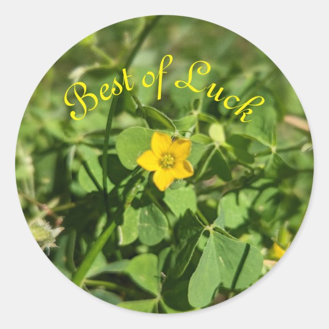 Sticker Rond Petit peu de fleur de chance (Devant)