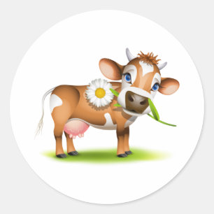 Sticker Rond Petite vache Jersey mangeant de la marguerite