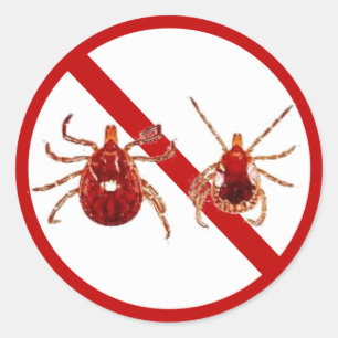 Sticker Rond Petits Autocollants, Lyme Maladie Tick (Blanc)