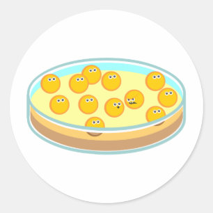 Sticker Rond Petri Disque MRSA