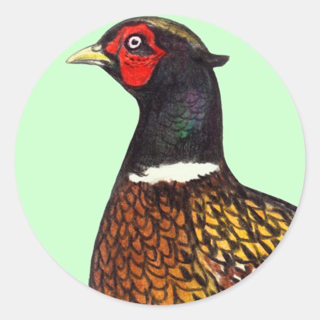 Sticker Rond Pheasant : Tête de Ringneck (Devant)