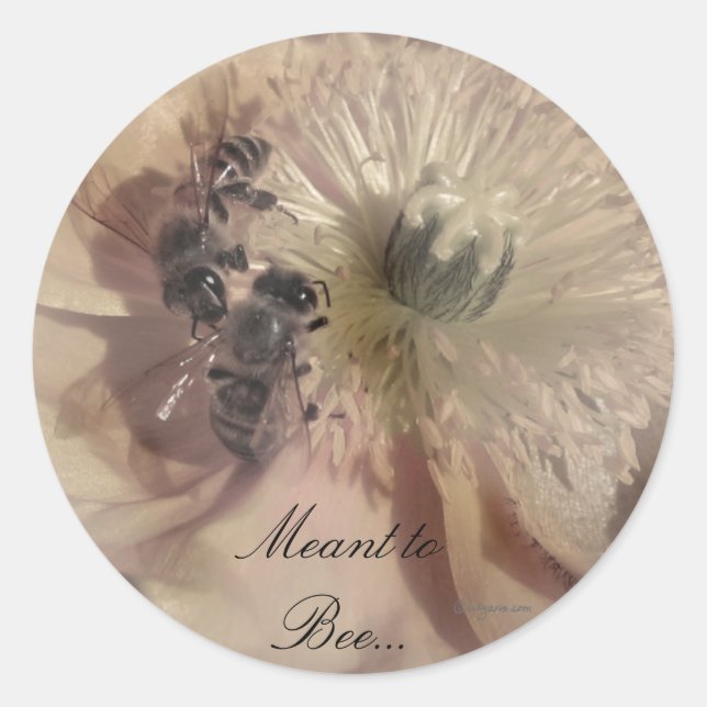Sticker Rond Phoques de Faire-part de mariage à fleurs roses (Devant)