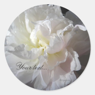 Sticker Rond Phoques de Faire-part de mariage blancs de pivoine