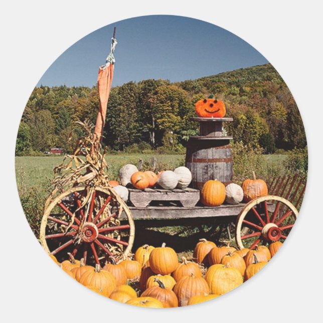 Sticker Rond Phoques de l'enveloppe d'automne (Devant)