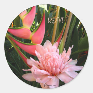 Sticker Rond Phoques d'enveloppe Mariage Heliconia Ginger rose