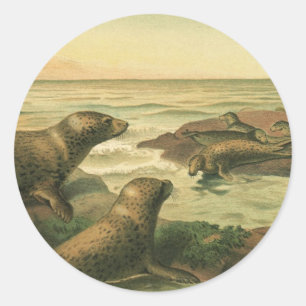 Sticker Rond Phoques léopards, Animaux aquatiques Vintages Vie 