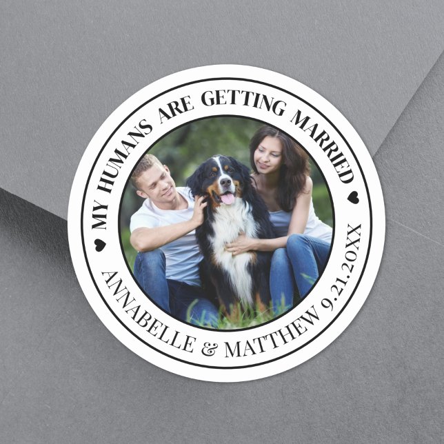 Sticker Rond Photo Chien Mariage Avec Animaux De Compagnie Enre (Dog Photo Pet Wedding Save The Date Classic Round Sticker)