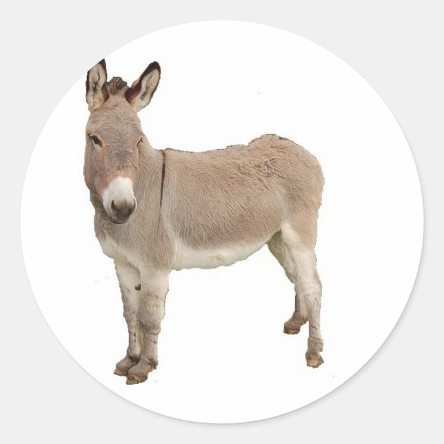 Sticker Rond Photo de Burro à Donkey Cute (Devant)