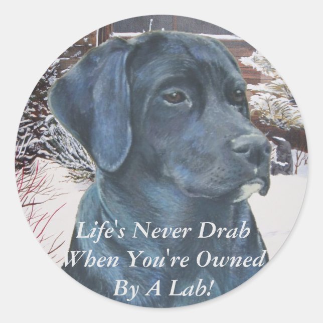Sticker Rond photo de portrait de black labrador dog sq (Devant)