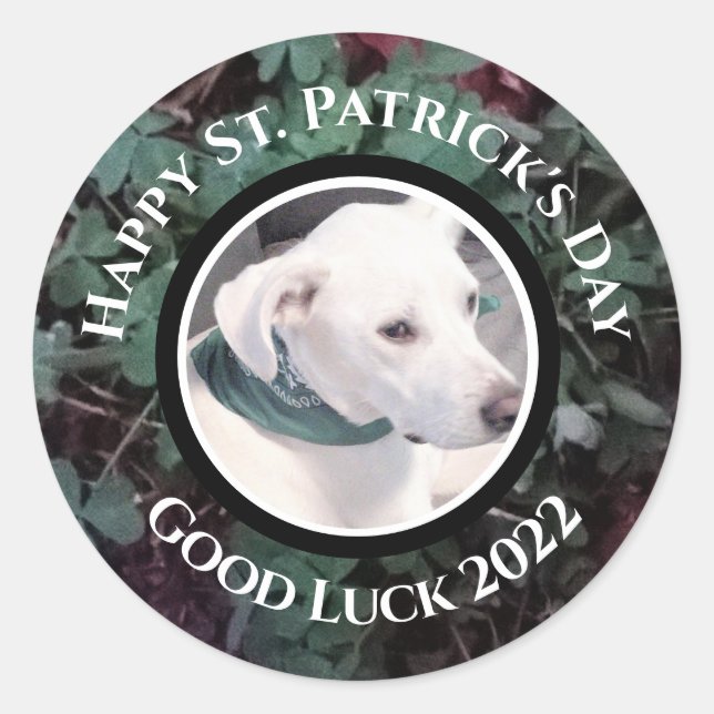 Sticker Rond Photo de Shamrocks verts de chien blanc mignon (Devant)