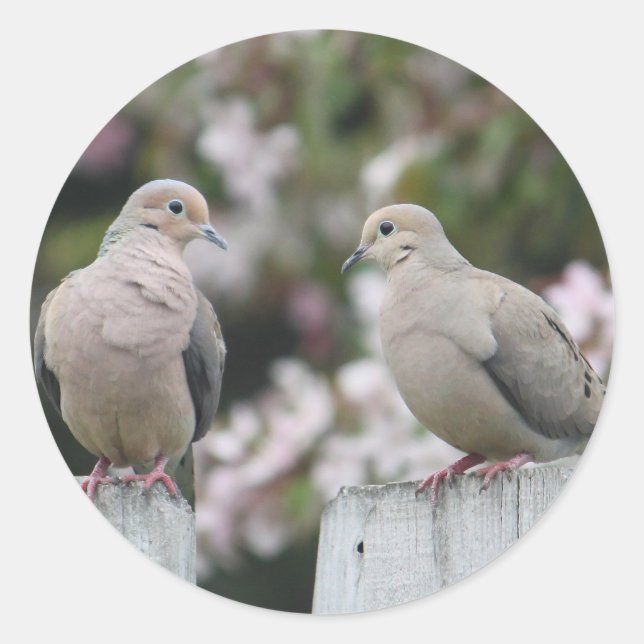 Sticker Rond Photo Doves en deuil (Devant)