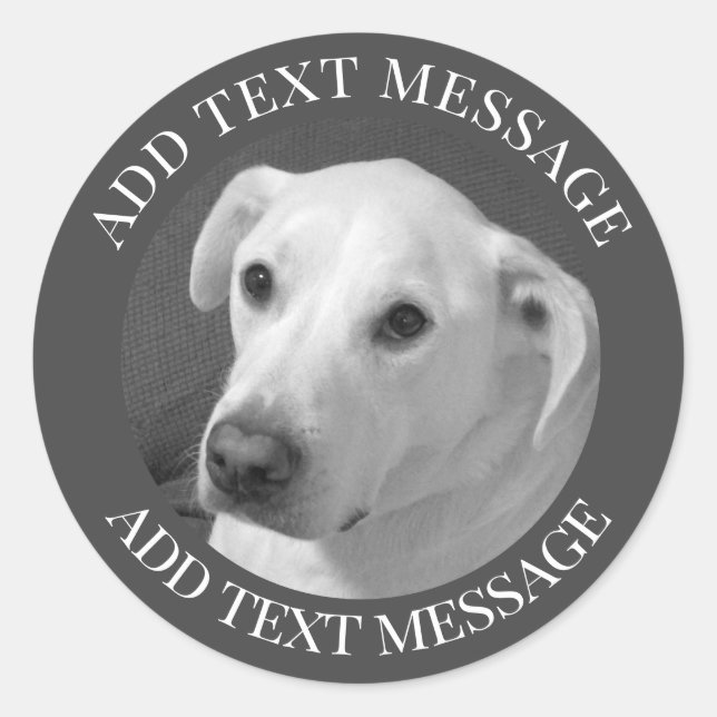 Sticker Rond Photo en noir et blanc d'un beau chien à l'âne (Devant)