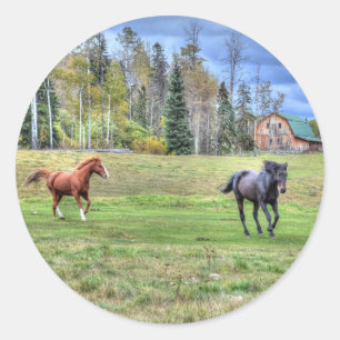 Sticker Rond Photo équine d'un amateur de chevaux sur un ranch 