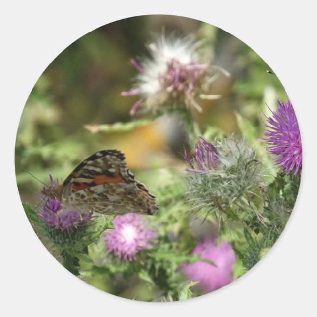 Sticker rond photo papillon, brillant (Devant)