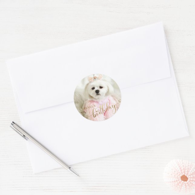 Sticker Rond Photo personnalisée Chien animal de compagnie Typo (Enveloppe)