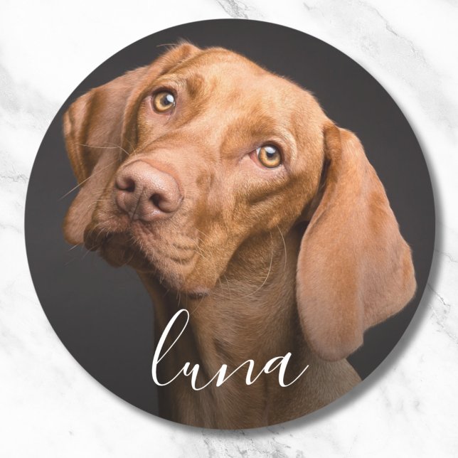 Sticker Rond Photo personnalisée Nom de l'animal (Pet Photo Sticker Label)