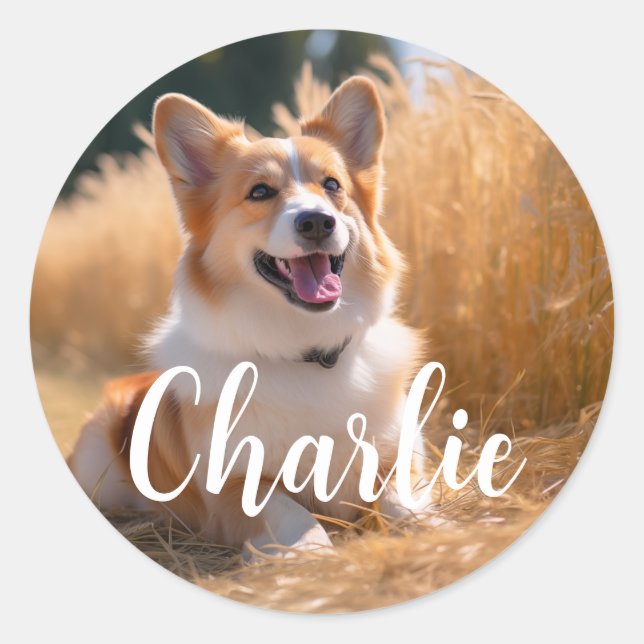 Sticker Rond Photo personnalisée pour animaux (Devant)