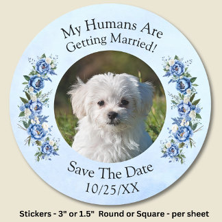 Sticker Rond Photo Pour Animaux - Enregistrer La Date - Jeu De 