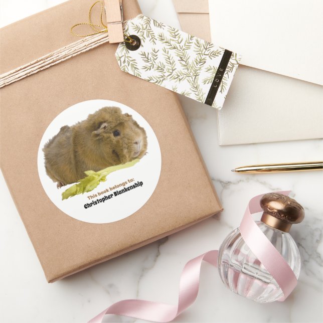 Sticker Rond Photographie d'un adorable cochon d'Inde mangeant  (Cadeaux)