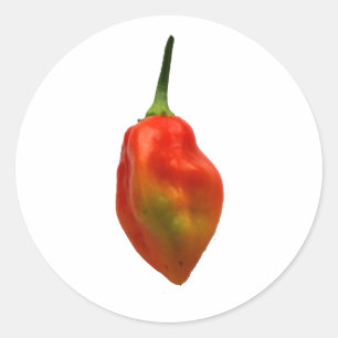 Sticker Rond Photographie simple de poivre de Habernero