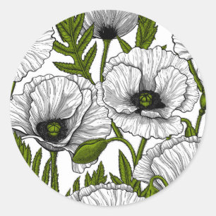 Sticker Rond Photos blanches sur blanc