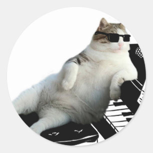 Sticker Rond Pianiste de chat aveugle