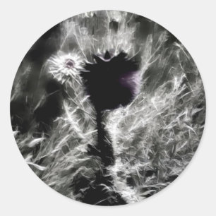 Sticker Rond Pick