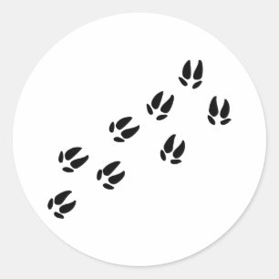 Sticker Rond Pig - Traces