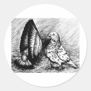 Sticker Rond Pigeons à rouleaux