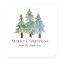 Pin neige hiver Noël