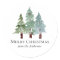 Pin neige hiver Noël