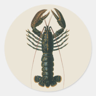Sticker Rond Pinces de homard Vie marine océanique vintage Crus