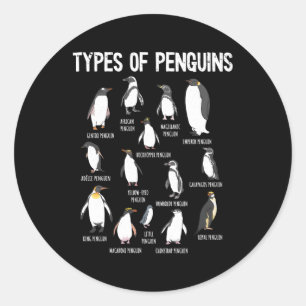 Sticker Rond Pingouins Du Monde Types De Pingouins
