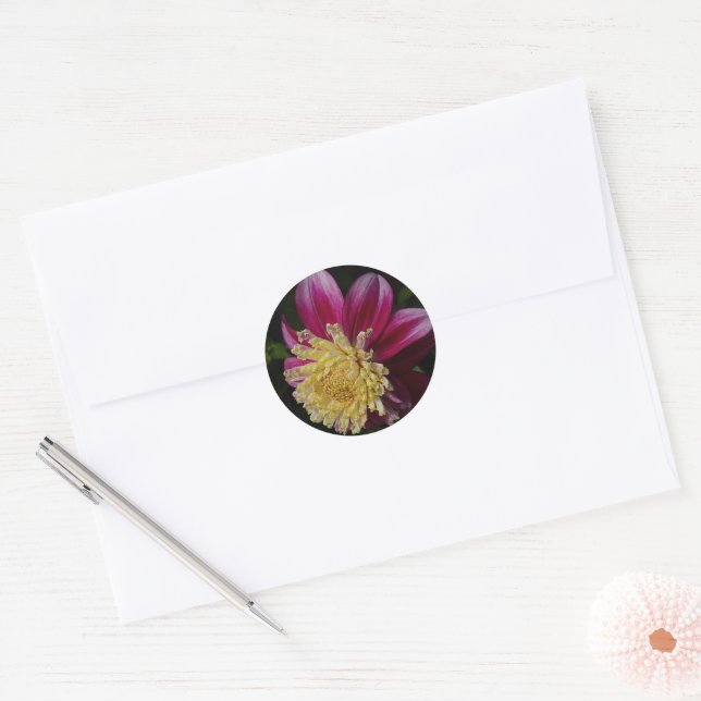 Sticker Rond Pink Anemone Dahlia Bloom Floral (Enveloppe)
