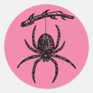 Sticker rond Pink Spider classique
