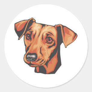 Sticker Rond Pinscher miniature