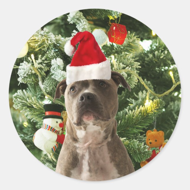 Sticker Rond Pitbull Chien Arbre de Noël Ornements Snowman (Devant)