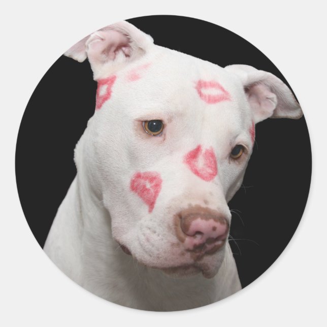 Sticker Rond Pitbull Lover (Devant)