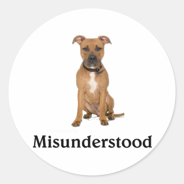 Sticker Rond Pitbull - mal compris (Devant)