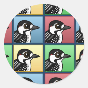 Sticker Rond Pivert Rouge-cockaded de quatre couleurs