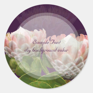 Sticker Rond PixDezine maui king protéa/do-it-yourself couleur 