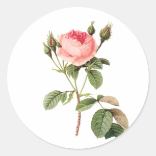 Sticker Rond PixDezine rose victorien vintage/redoute