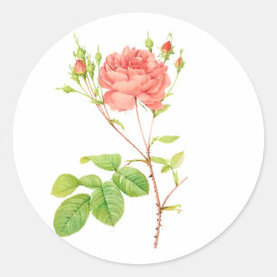 Sticker Rond PixDezine roses victoriens vintages/redoute