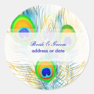 Sticker Rond PixDezines Pizzazz Peacock Feather/do-it-yourself