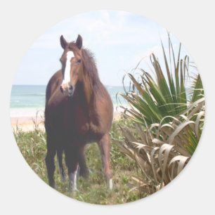 Sticker Rond Plage d'autocollant de cheval
