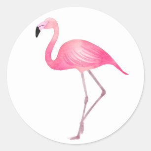 Sticker Rond Plage de Mariage Flamant rose rose tropical de la 