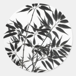 Sticker Rond Plante en bambou noir et blanc